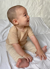 Pant Algodón Orgánico Vicuña a Rayas
